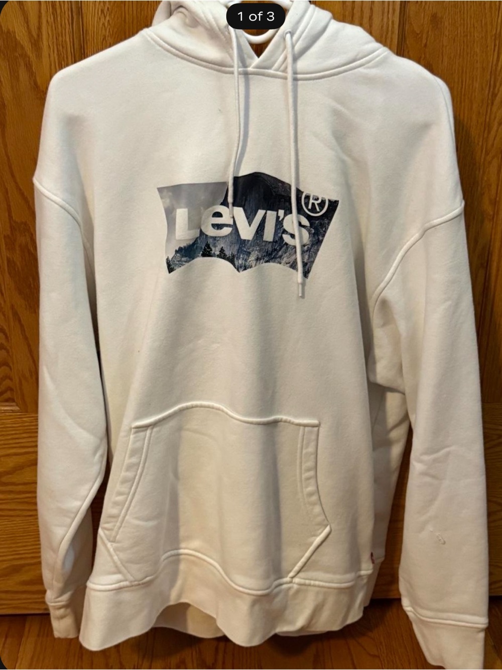 Men’s Levi's hoodie with mountain graphic
